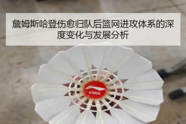 詹姆斯哈登伤愈归队后篮网进攻体系的深度变化与发展分析
